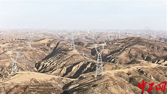 3293514_tpzz_1768374096191_b